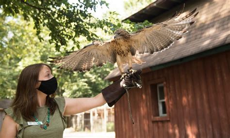 Woodford cedar run wildlife refuge - Today is "International Day of the Forests" that celebrates and raises awareness of the importance of all types of forests. At Cedar Run, we're lucky to be in a unique and protected forest, the...